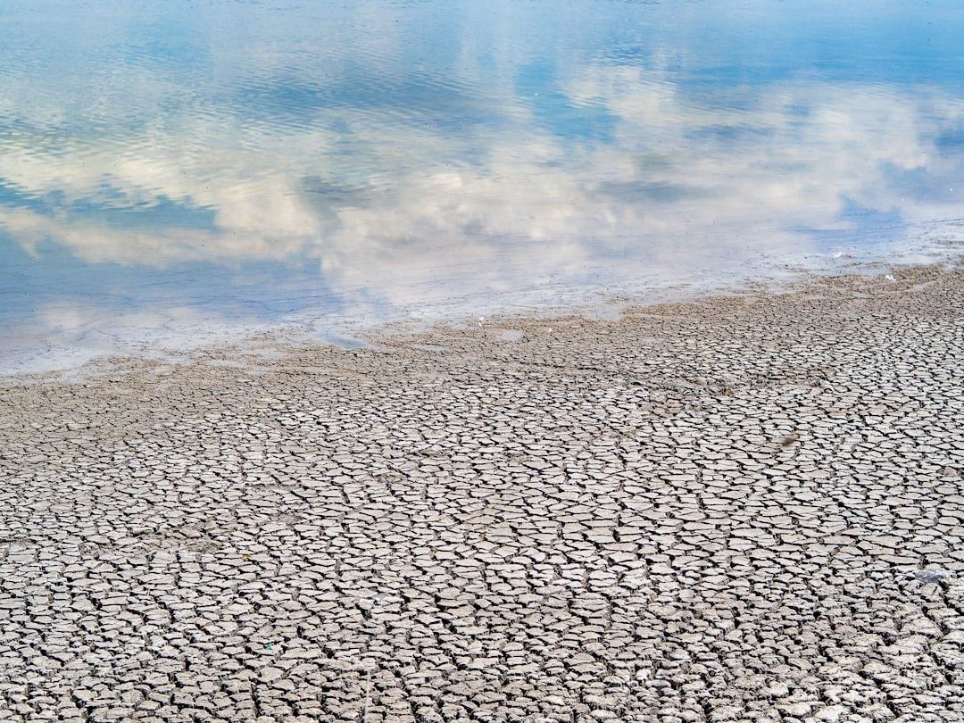 Drooggevallen, gebarsten meerbodem naast ondiep spiegelend water